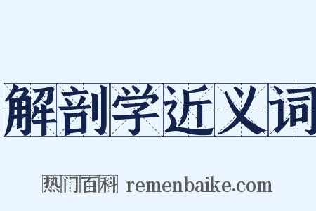 解剖学近义词是什么意思的图片